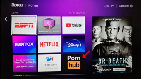 roku tv porn apps|List of Roku Porn Channels & Apps: Best Alternatives in 2024